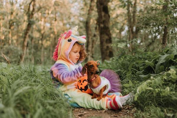 Dachshund Halloween Costumes A Guide to Choosing the Perfect Outfit