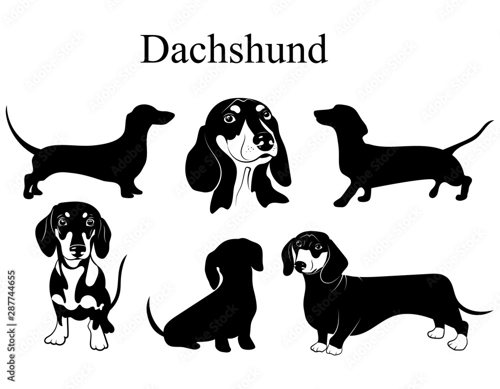 Dachshund Tattoos A Celebration of the Sausage Dog