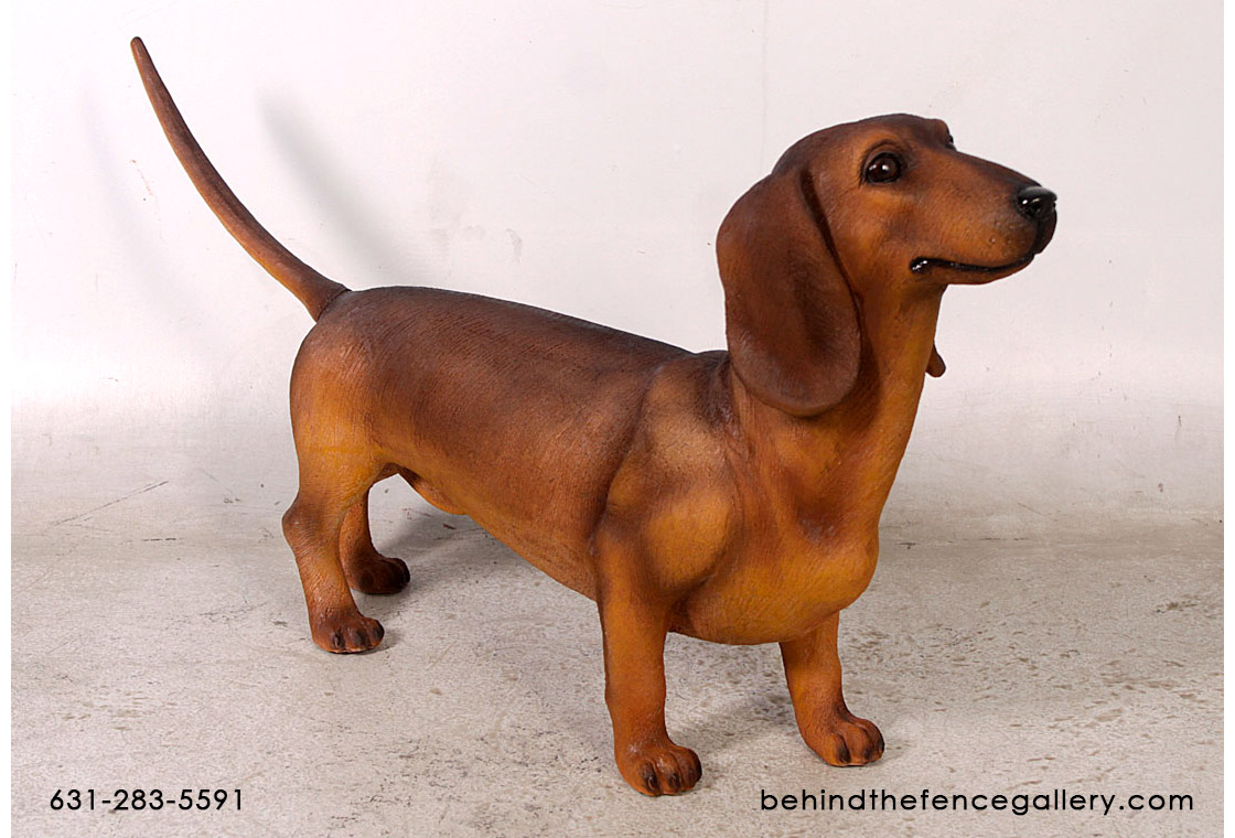 The Enduring Appeal of the Brown Dachshund